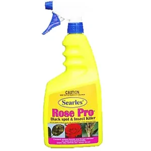 Searles Rose Pro