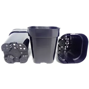 105mm-square-pots-poteroo