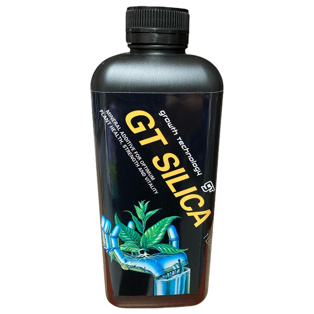 GT Silica - Growth Technology