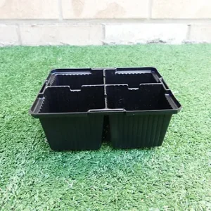 4 Cell - (CH4)Propagation Punnets