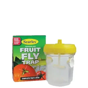 Searles Fruit Fly Trap