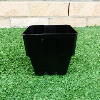 Black square plastic plant pot with drainage holes.