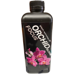 Orchid Boom Focus - Growth Technology