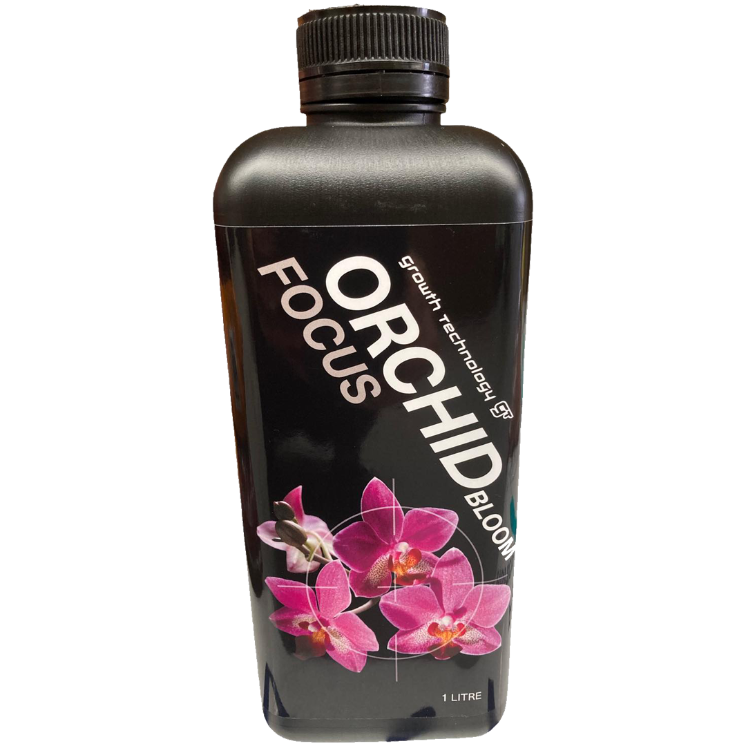 Orchid Boom Focus - Growth Technology