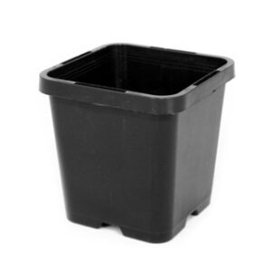 85mm Square Squat Pots