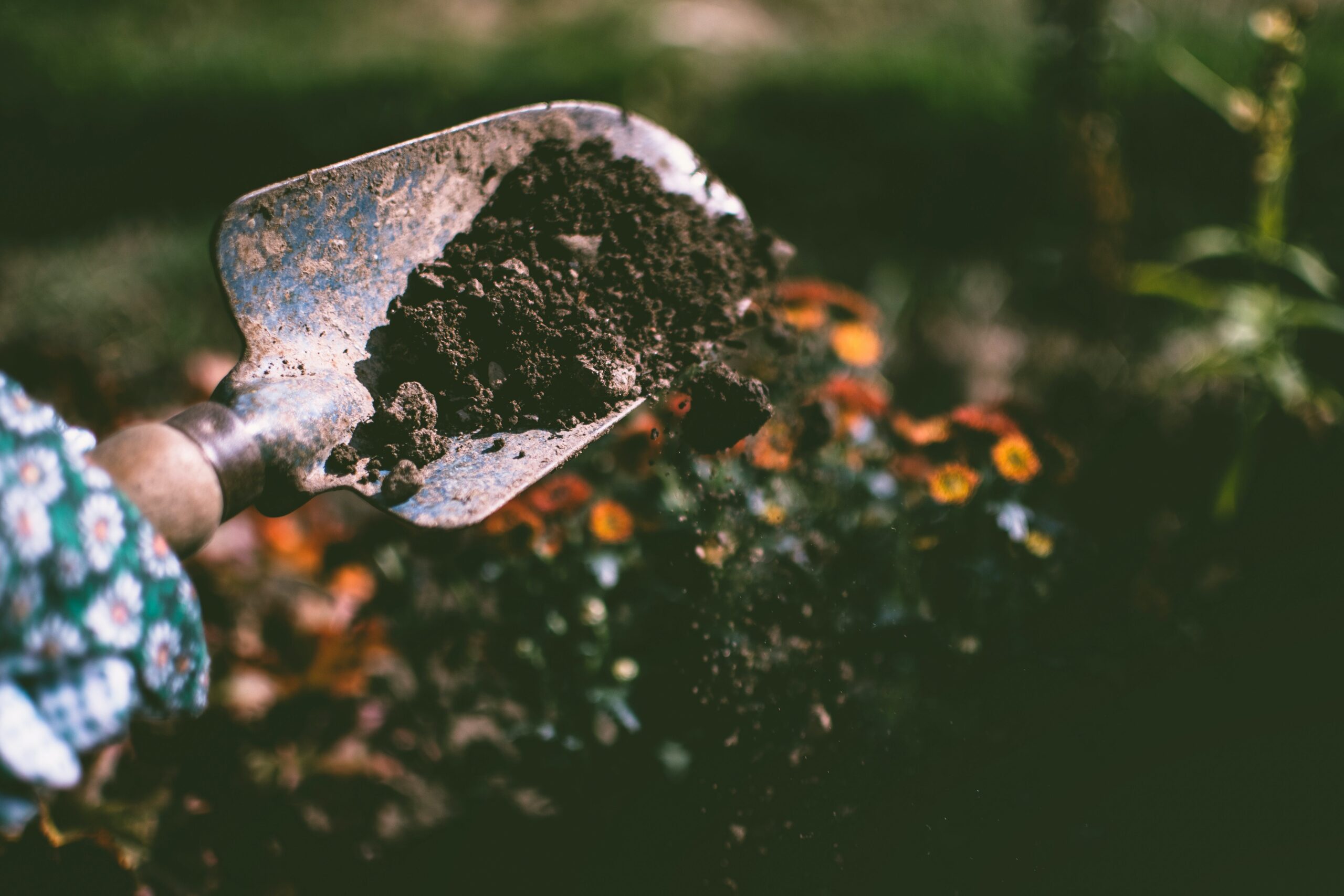 Nutrient-Rich Soil Fertiliser for Garden Enrichment