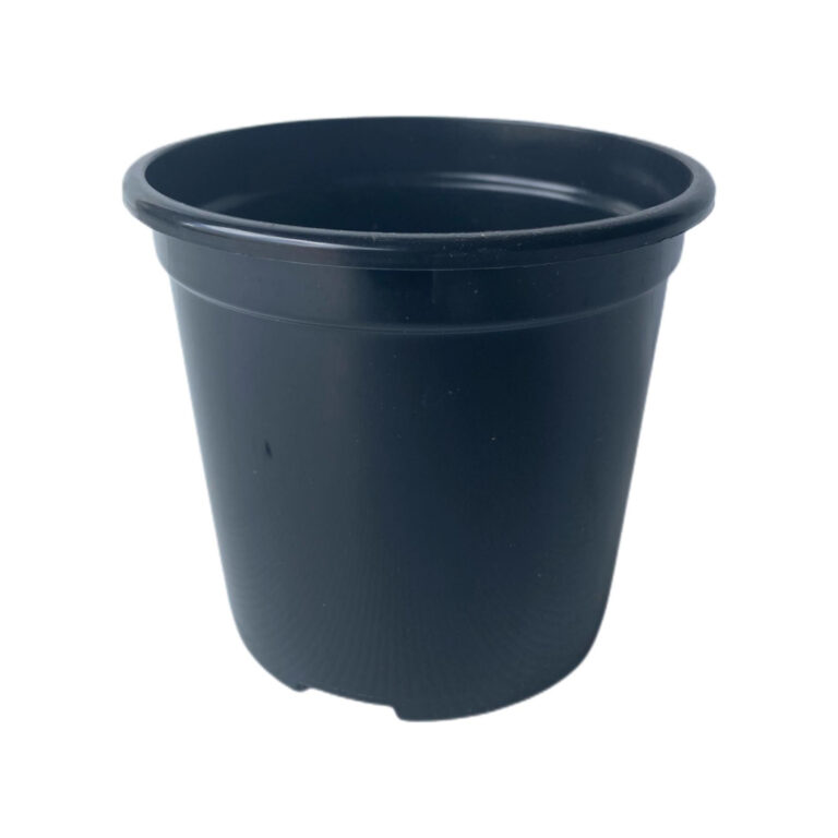 Standard Pot Standard & Large Pots Archives - Ashi Homes and Gardens
