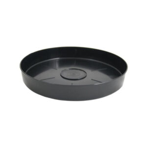 140-150mm Saucer
