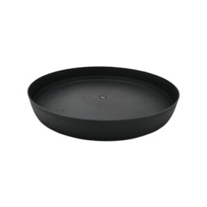 saucer