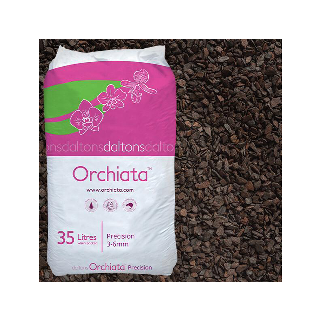 Orchista 3-6mma copy