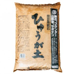 Pumice