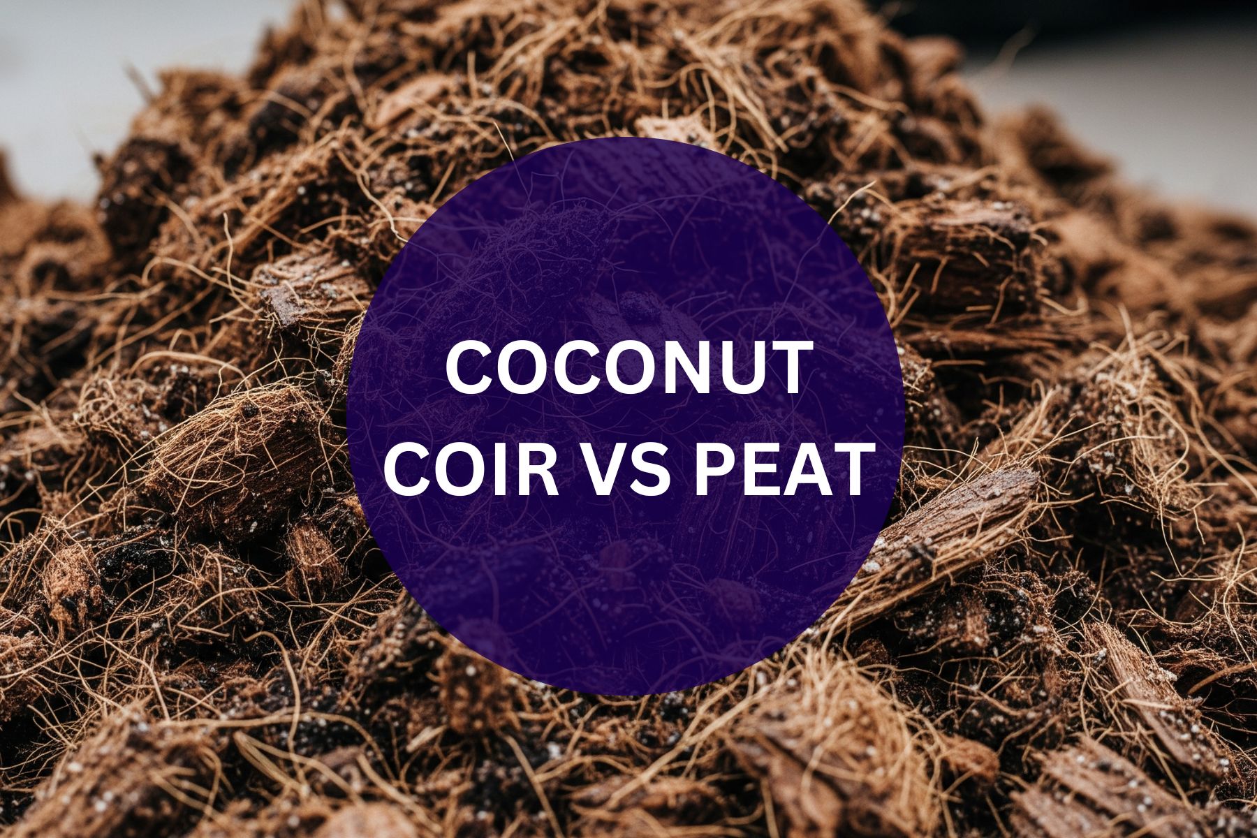 5 Reasons Gardeners Are Ditching Peat for Coconut Coir