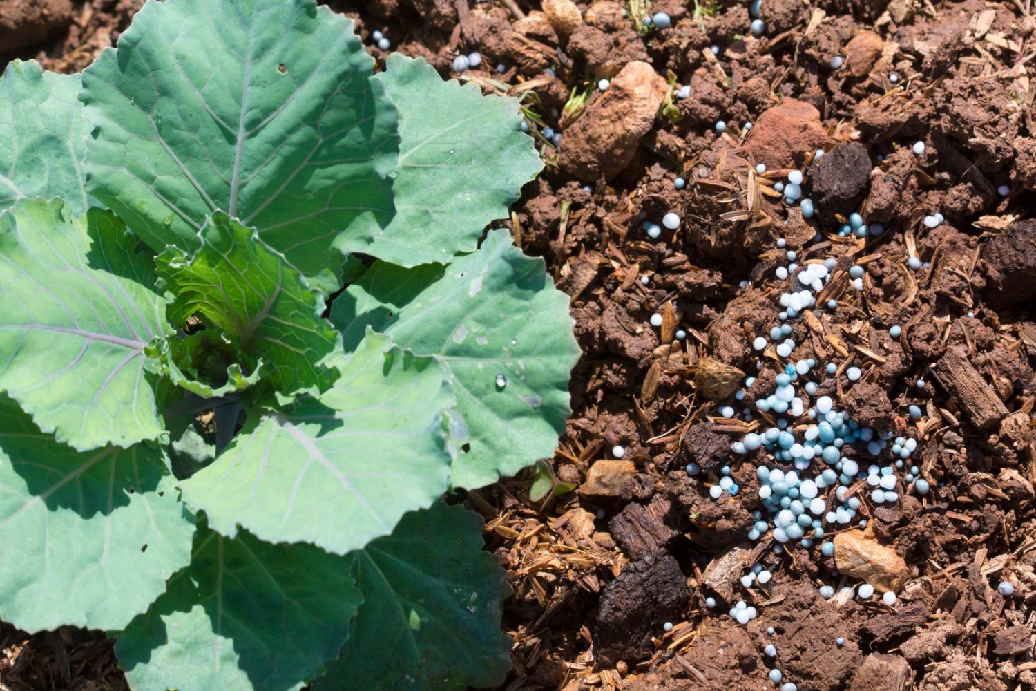 ashi soil additive