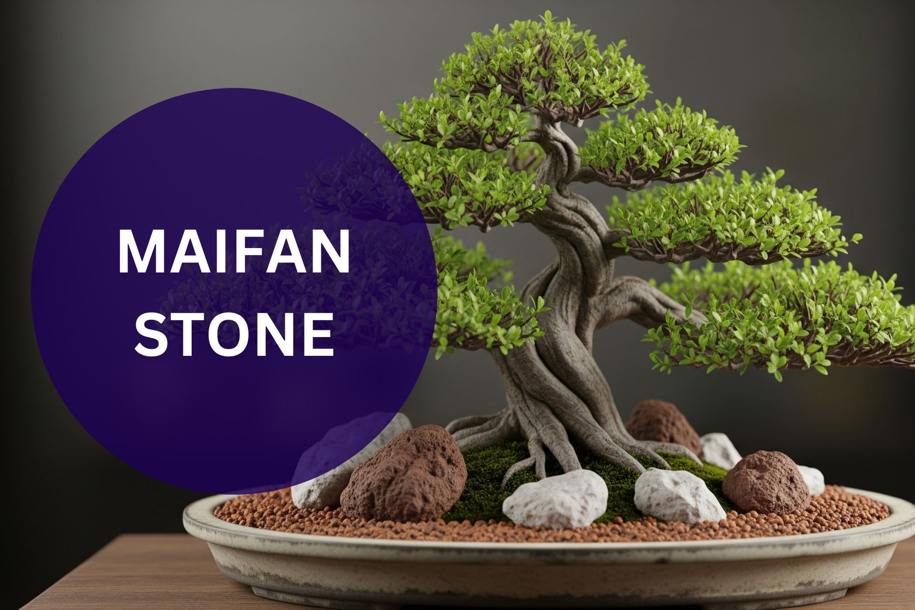 Golden Maifan Stone A Natural Powerhouse for Soil Health and Root Growth