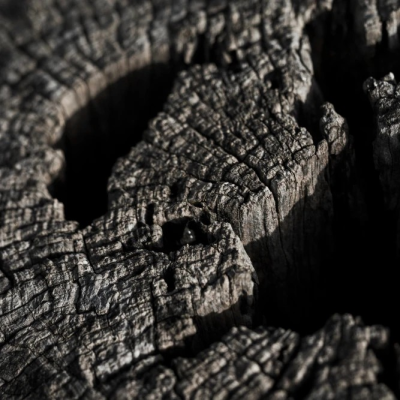 Charcoal & bark