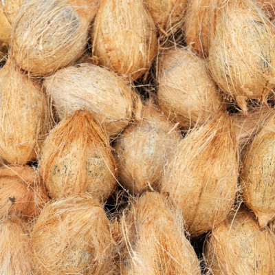 Coconut coir
