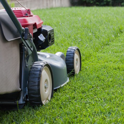 Lawns