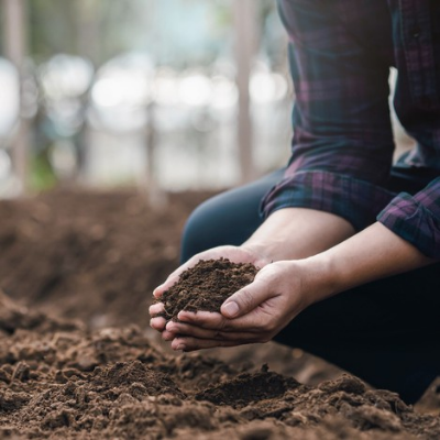 Potting mix