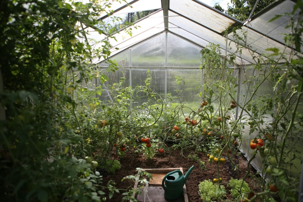 Choosing the right Garden Accessories Australia