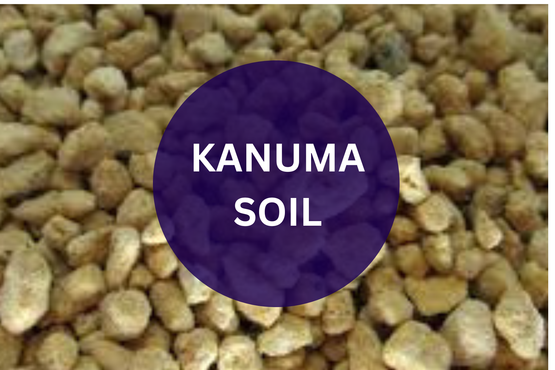 Kanuma Soil