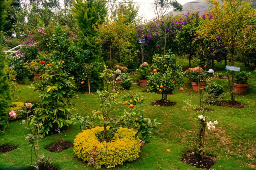 Gardening Accessories AShi Homes and Gardens