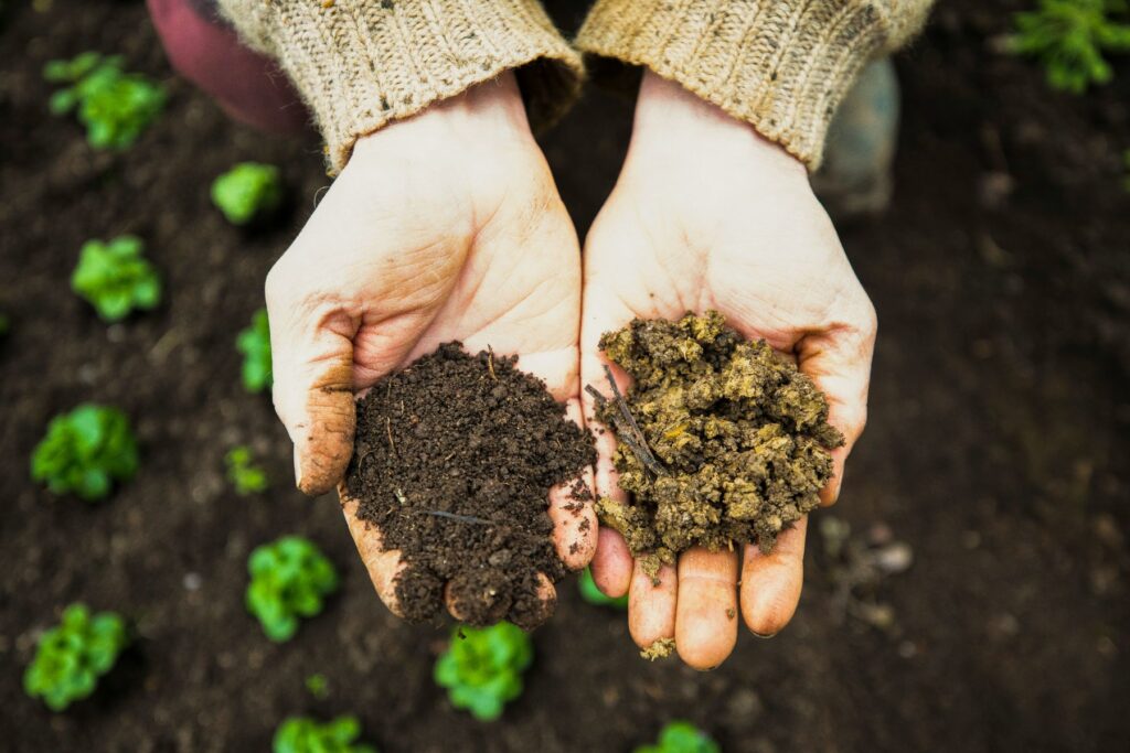 Growing Media Potting Mix (1)
