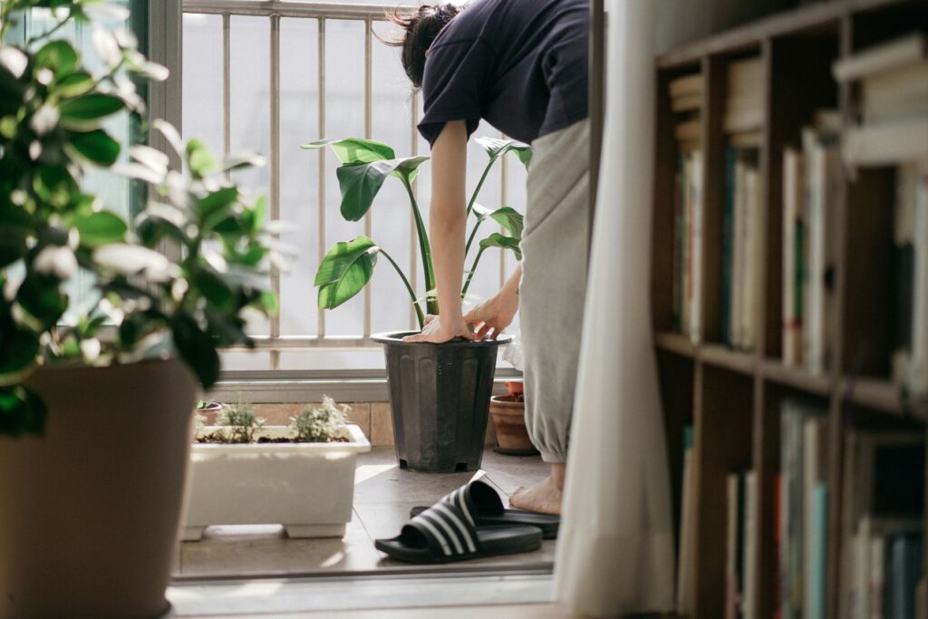 fertiliser-tips