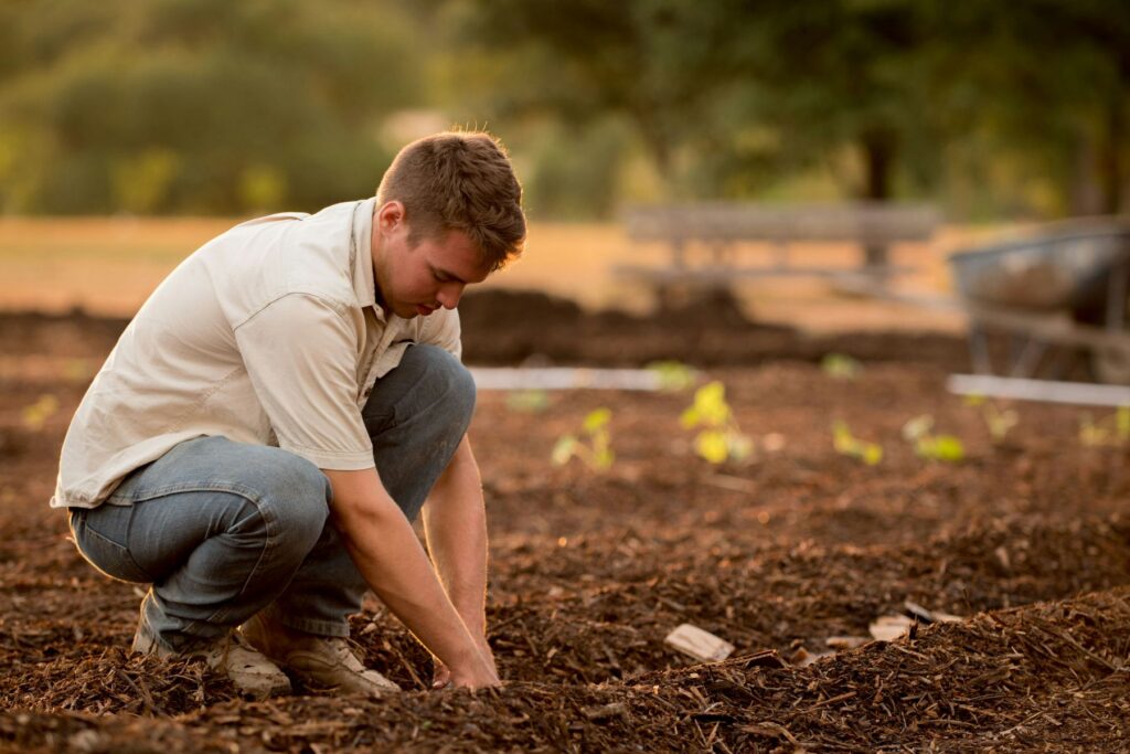 organic-garden-fertiliser-in-use