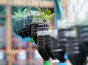DIY Hanging baskets
