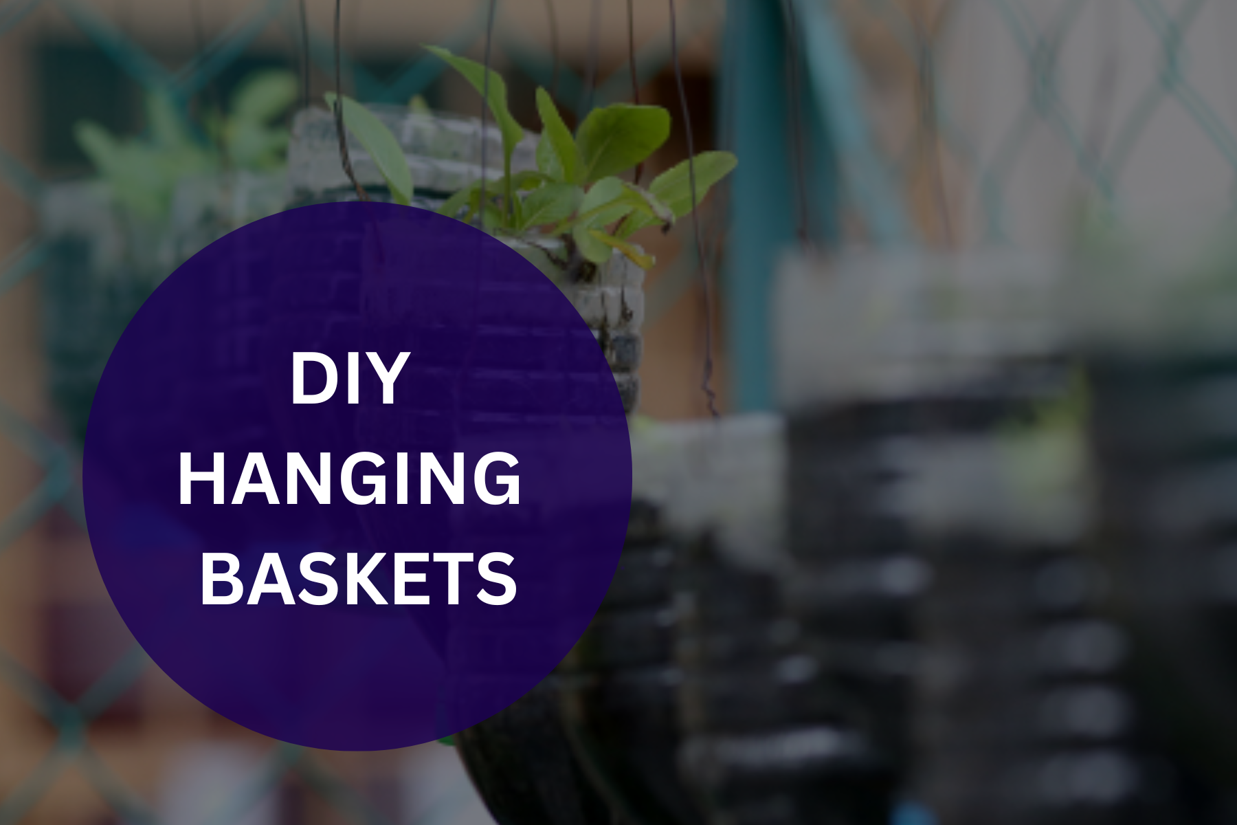 DIY Hanging Baskets