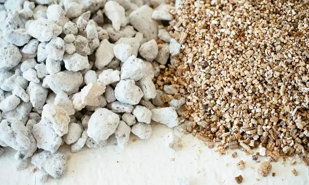 Perlite vs Vermiculite: Which Soil Amendment Should You Use