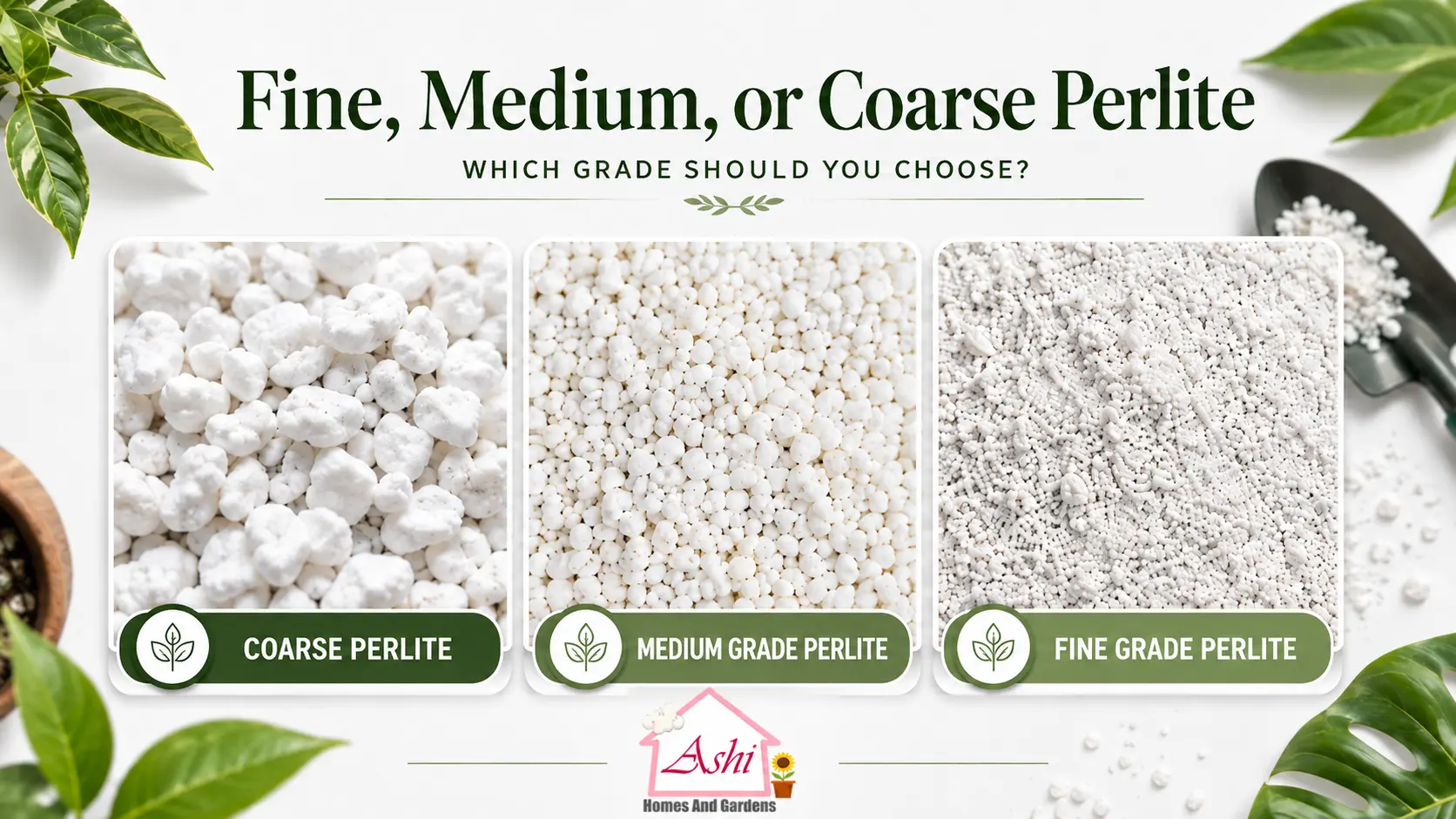 Fine, Medium or Coarse Perlite: Which Grade Should You Choose