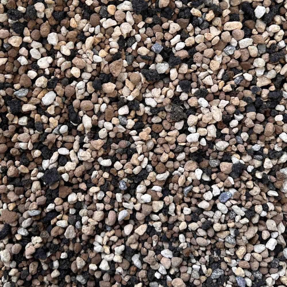 Akadama vs Pumice: Choosing the Right Bonsai Soil Components