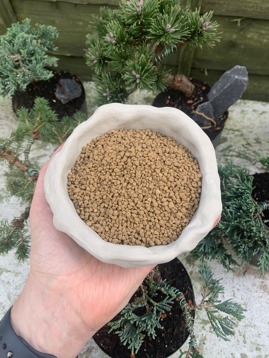 Japanese Akadama Soil Australia