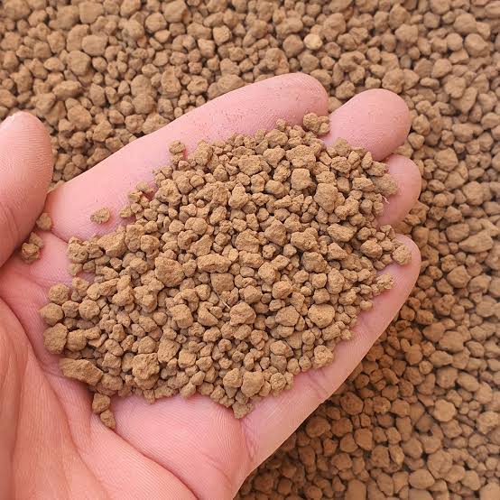 What Is Akadama Soil
