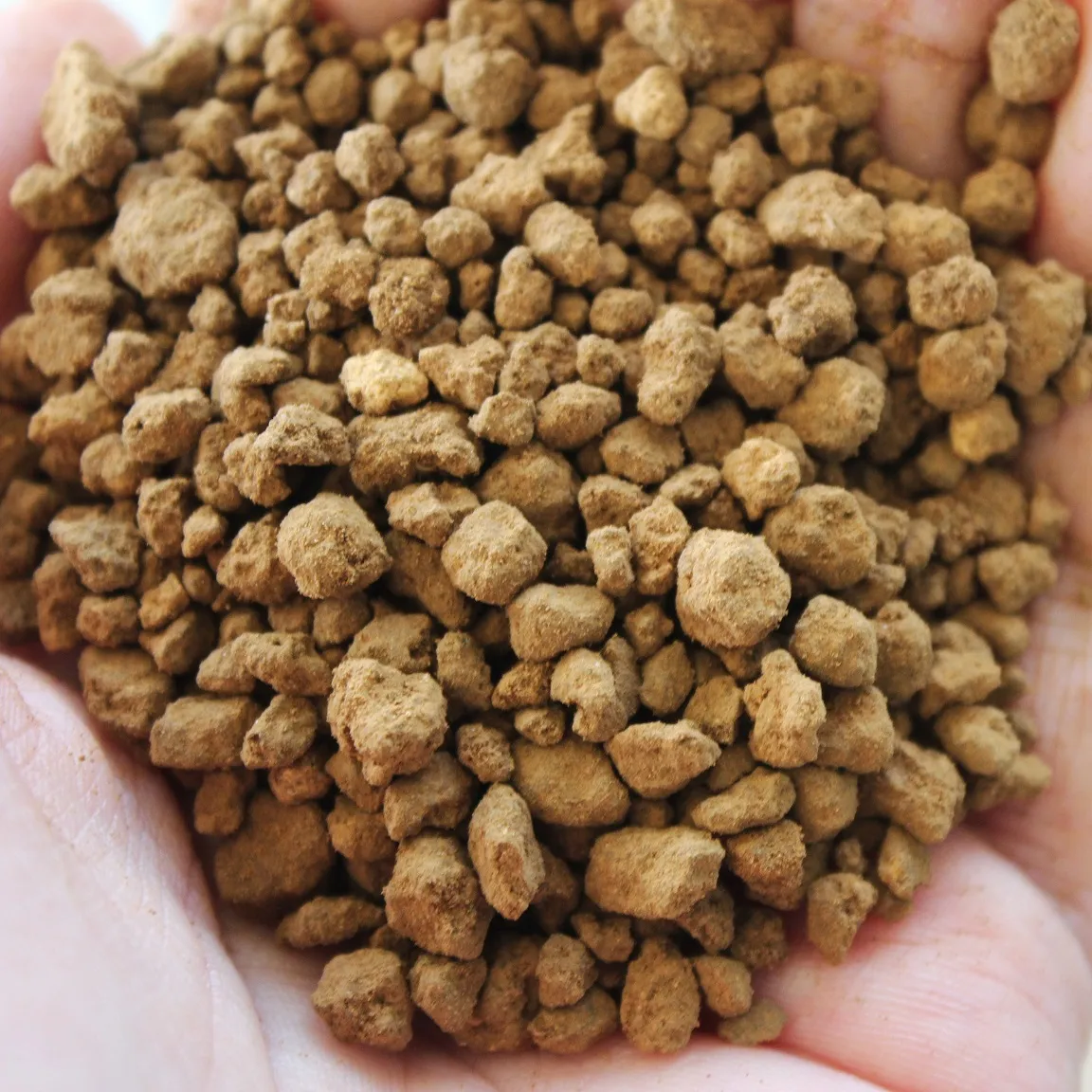 Where to Buy Akadama Soil in Australia